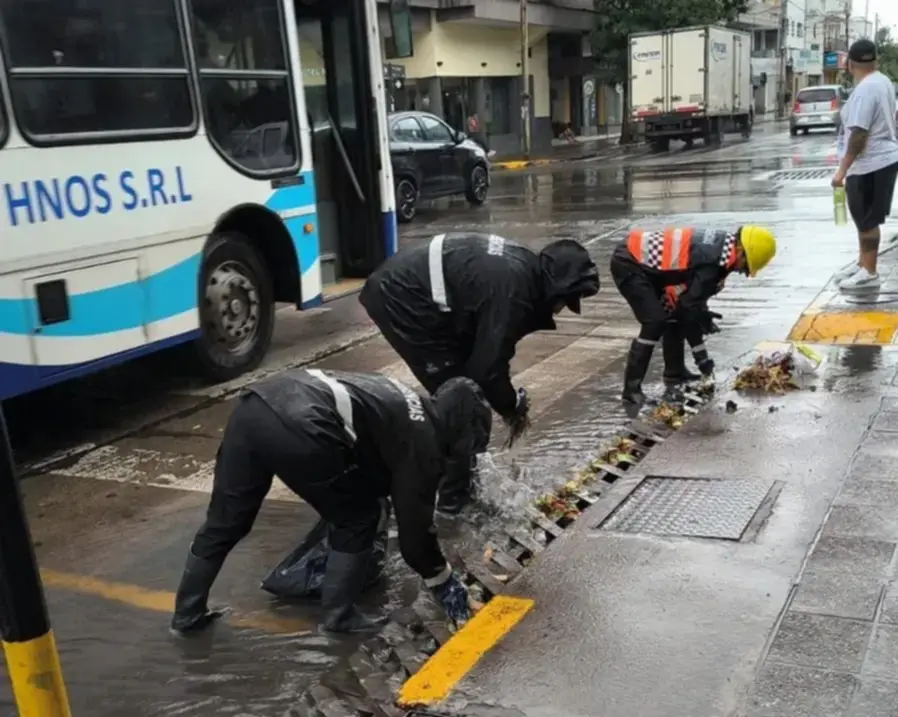 Tormenta en Salta: se registraron 42 incidentes por árboles caídos, postes inclinados y voladuras de techos - Tormenta en Salta: se registraron 42 incidentes por árboles caídos, postes inclinados y voladuras de techos