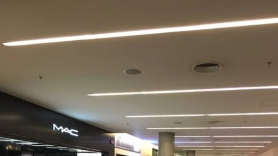 Ahora escracharon a Zannini en un vuelo