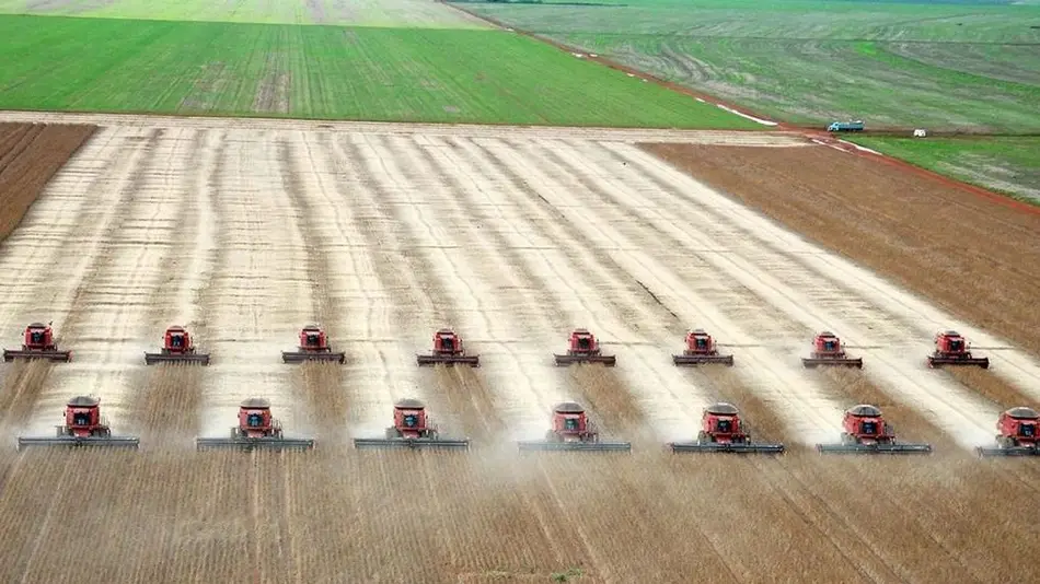 La importancia de invertir en agricultura