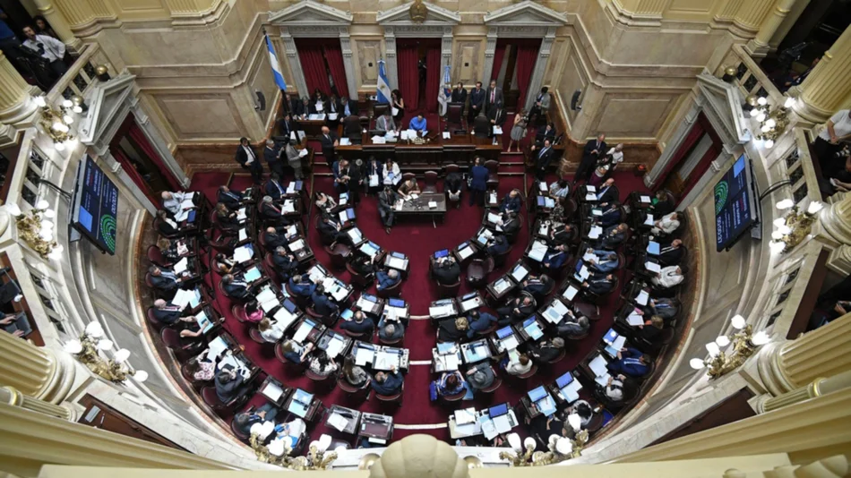 El Senado avanzará con el debate sobre el “tarifazo” 