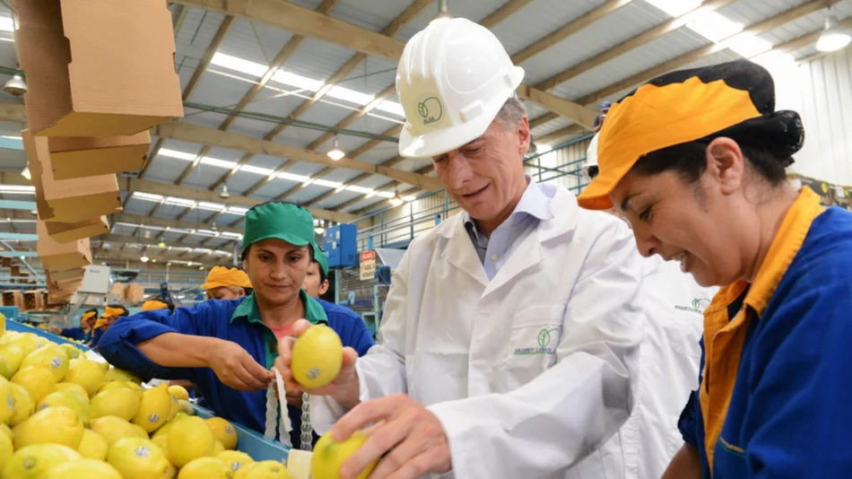 Mauricio Macri: "No soy mago, no me sale eso; pero tampoco soy estafador" 