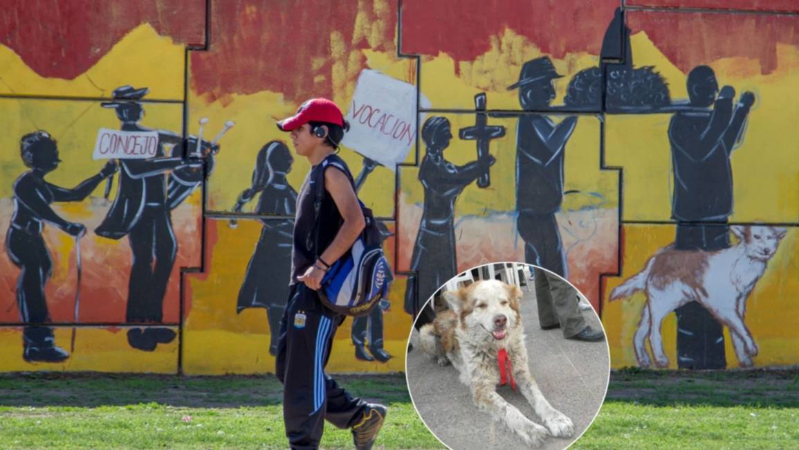 A los 20 años murió Fatiga, el perrito peregrino del Milagro