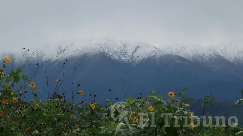 ¡Qué belleza! Las montañas del oeste de Salta están de blanco 