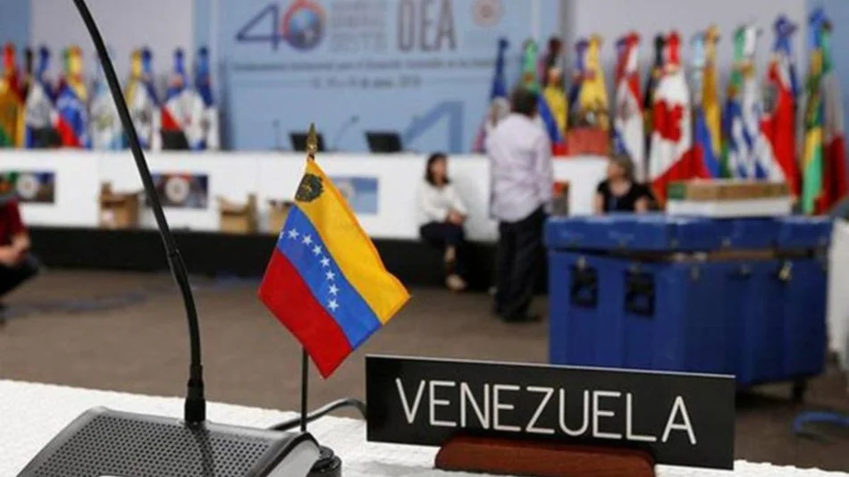 OEA acepta al enviado de Guaidó y Venezuela denuncia la "violación del Derecho Internacional" 