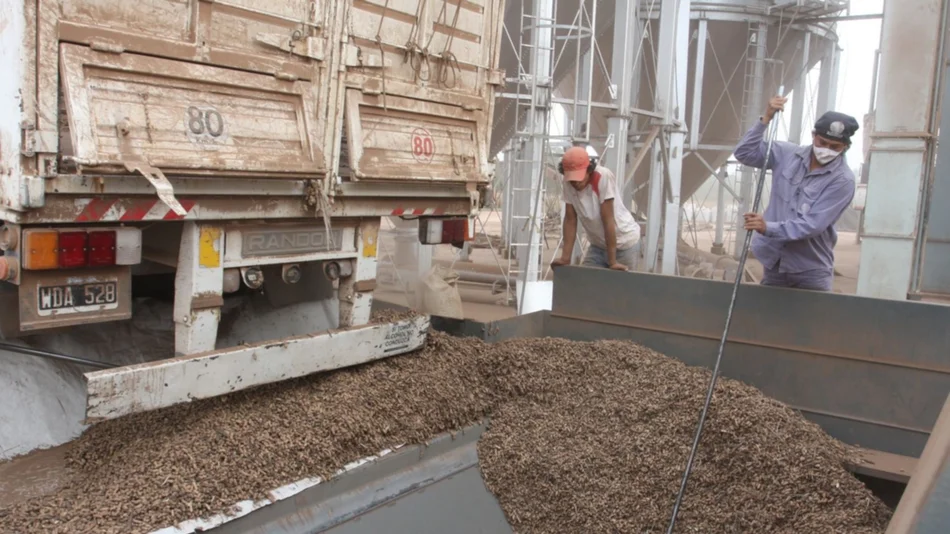 Desdelsur invertirá US$ 30 millones en sus plantas del norte