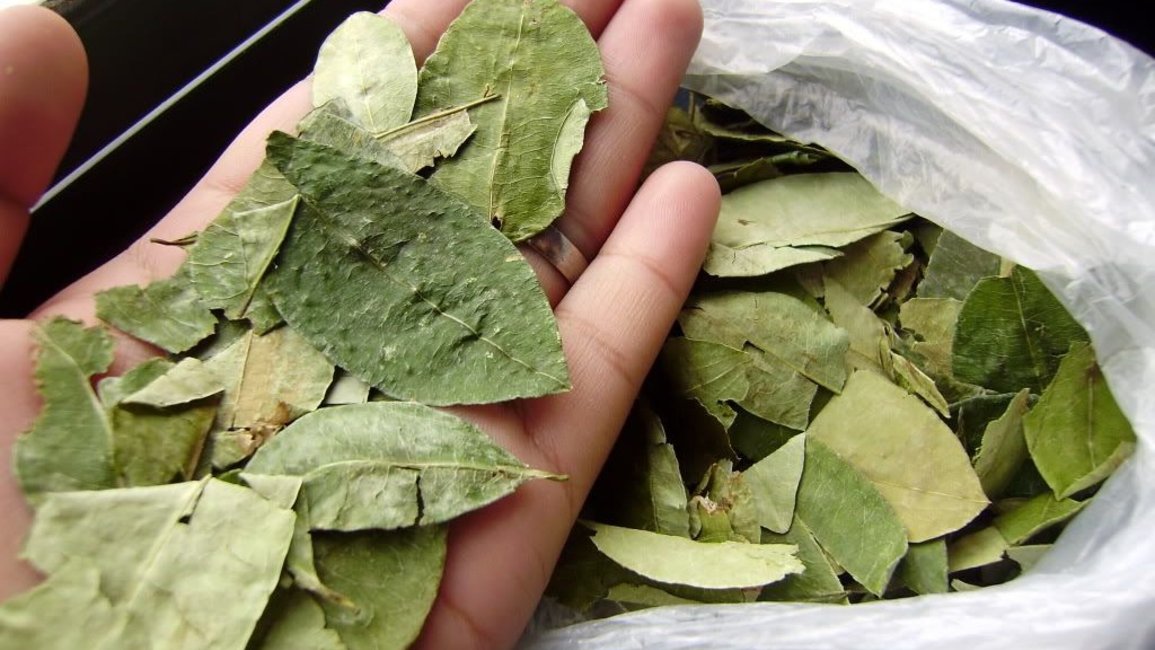 Video: recorrimos los puestos de venta de hojas de coca