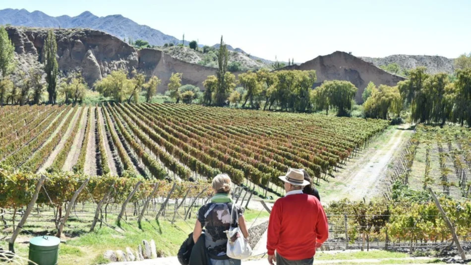 En Cachi, se afianzan los vinos de altura con sello de autor
