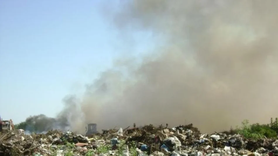 Basural: la Justicia ordenó medidas ante el daño ambiental