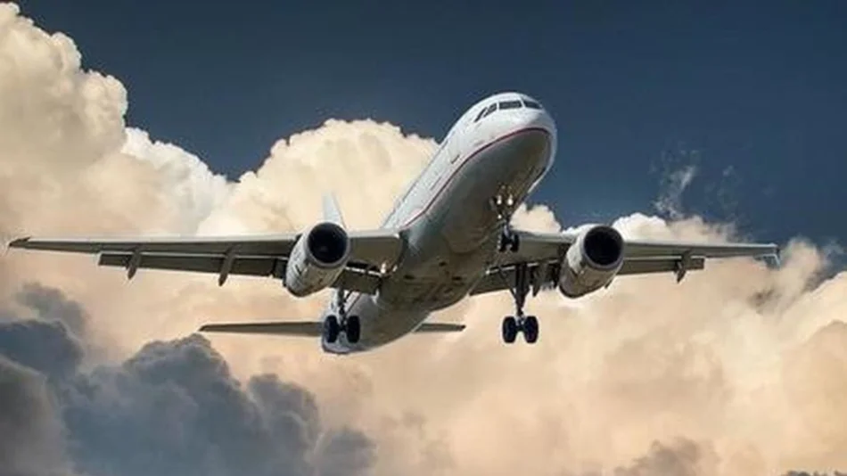 VIDEO Dos aviones estuvieron a punto de chocar y el piloto insultó a la controladora