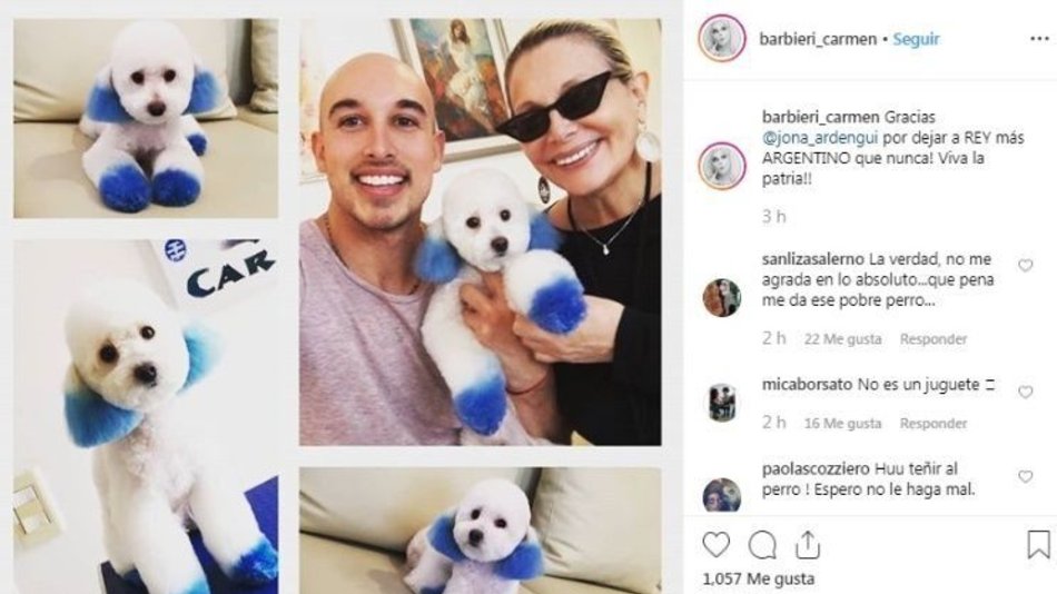 Duras críticas a Carmen Barbieri por teñir a su perrito de azul