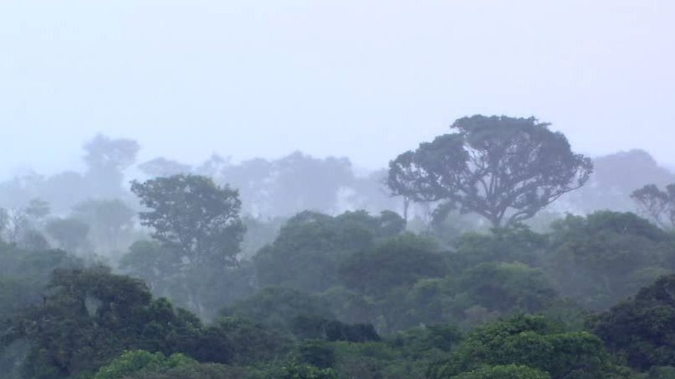 Hasta entrado mayo las mínimas serán de 10º: el año pasado la primera helada fue el 6 de junio