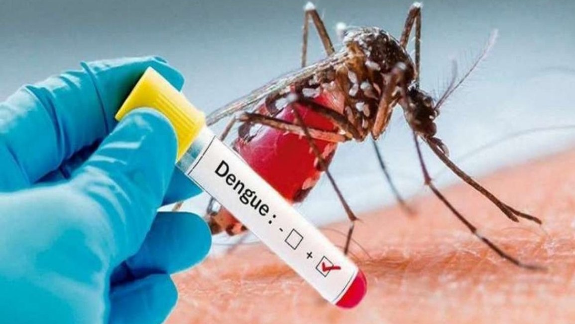 Hasta hoy se confirmaron 605 casos de dengue en Salta
