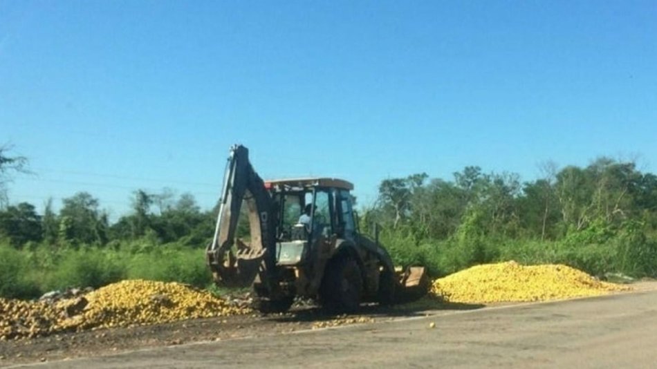 Obscena postal de fruta de  exportación, en la banquina