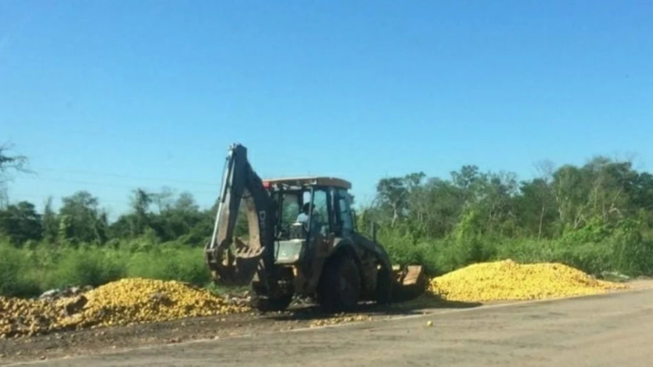Obscena postal de fruta de  exportación, en la banquina