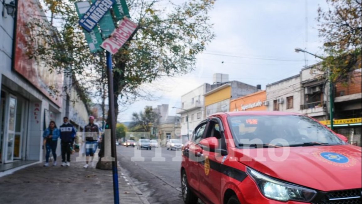 Importantes pérdidas y caos por el paro de choferes de colectivo	