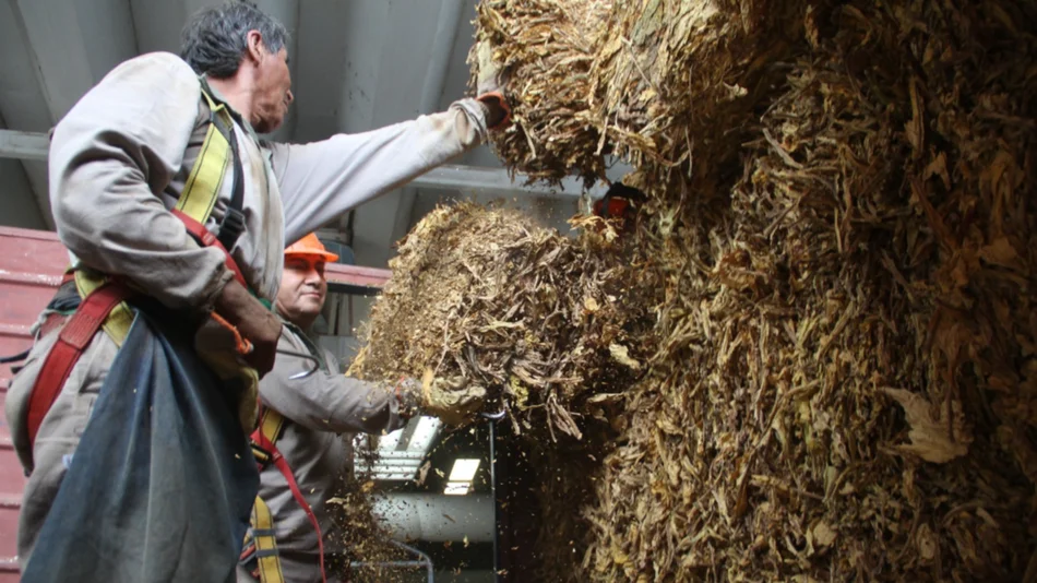 Hay incertidumbre en el campo por la implementación del nuevo "dólar agro"