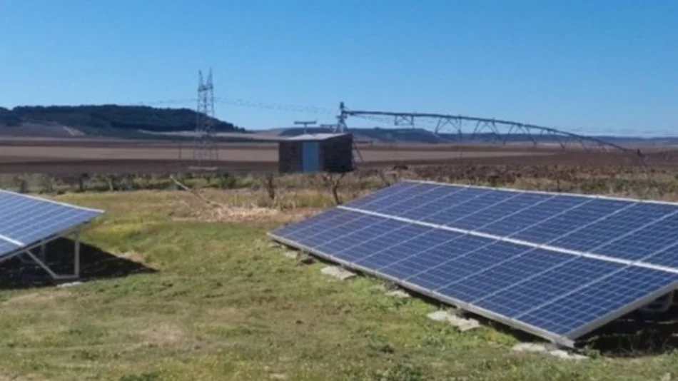 Se afianzan empresas locales que brindan soluciones de energía renovable 