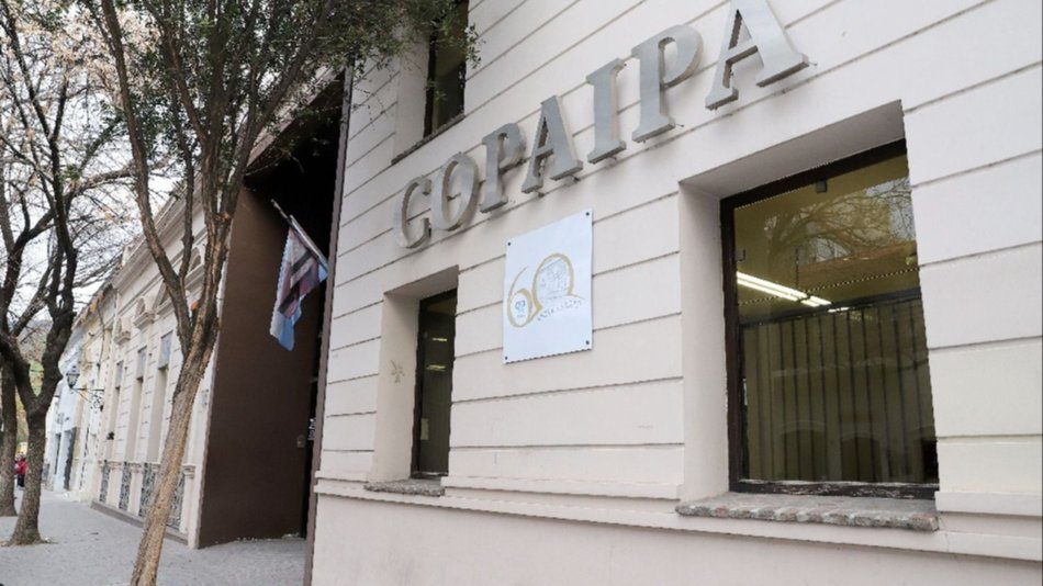 Profesionales en acción y formación constante