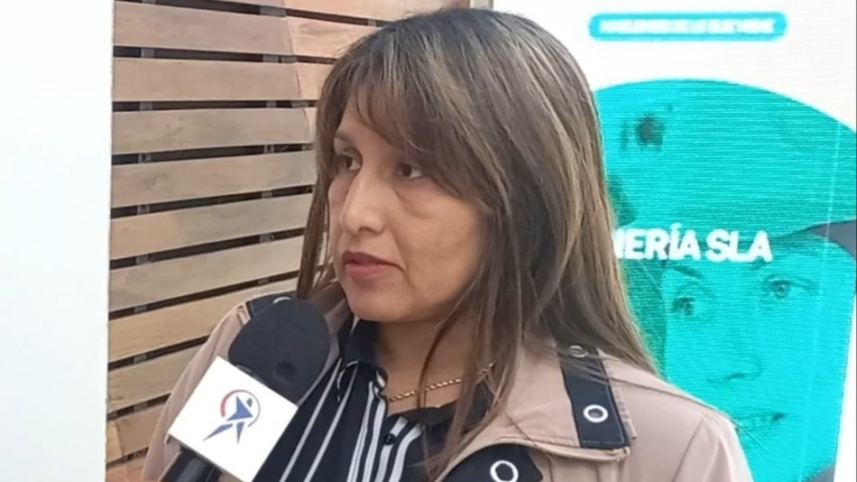 VIDEO. Gabriela Rojas: "La arquitectura debe intervenir en la minería"
