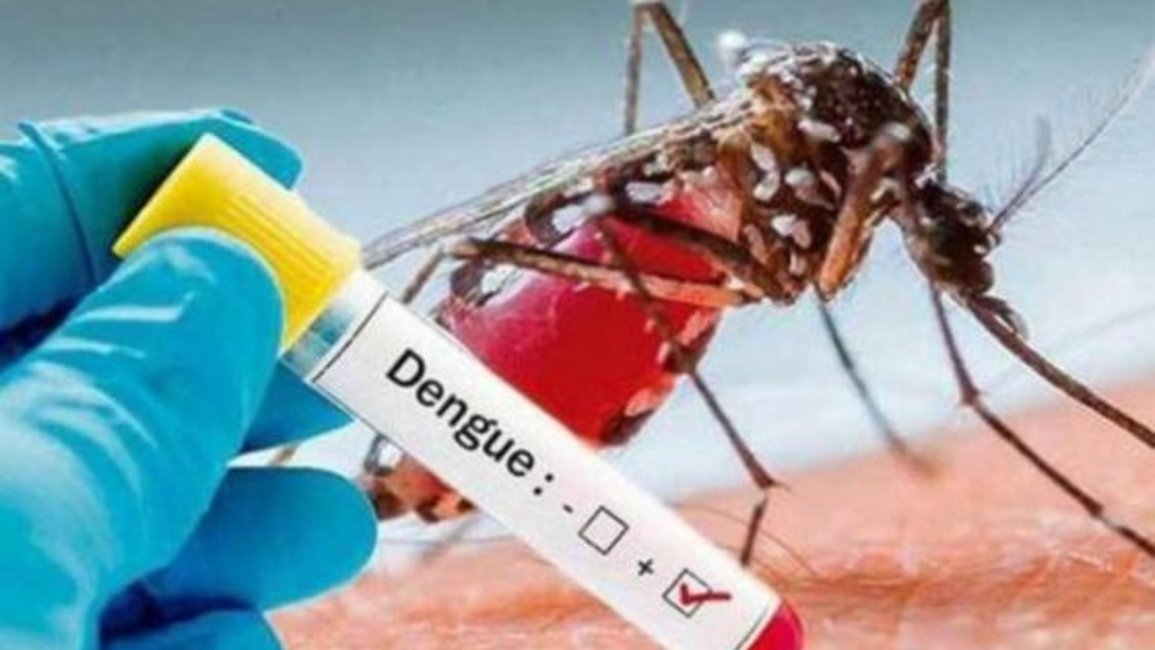 Dengue en Salta: responde la encuesta sobre la enfermedad en la Provincia