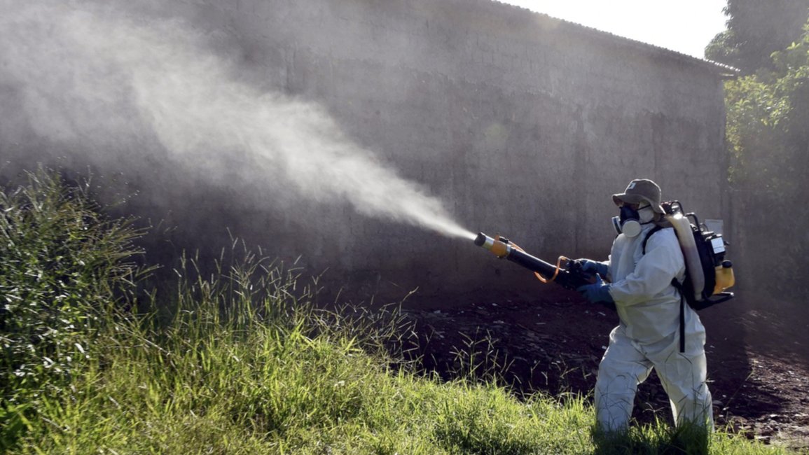 En Campo Santo se fumigará, aunque no se recomienda