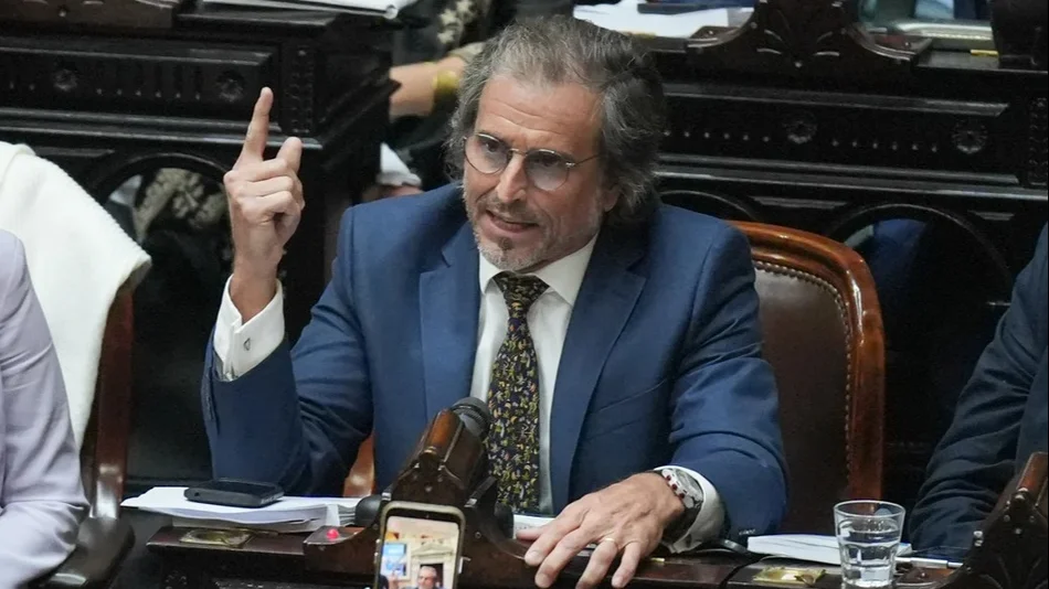 "No creo en la obligatoriedad de la educación", señaló el legislador libertario Benegas Lynch