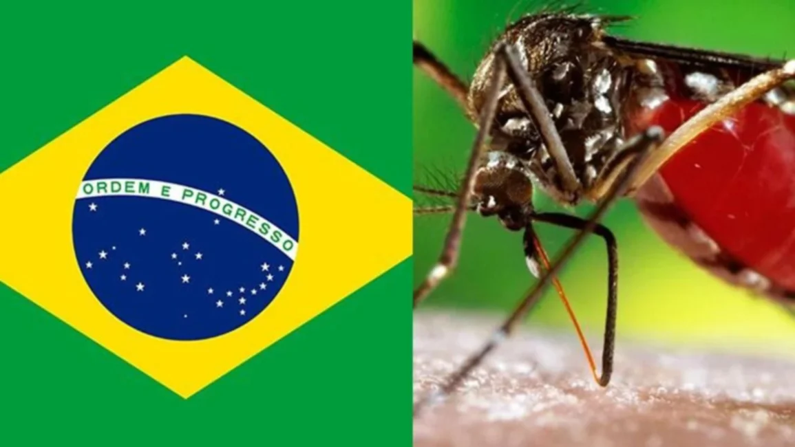 Brasil batió su récord histórico de muertes por dengue en un año