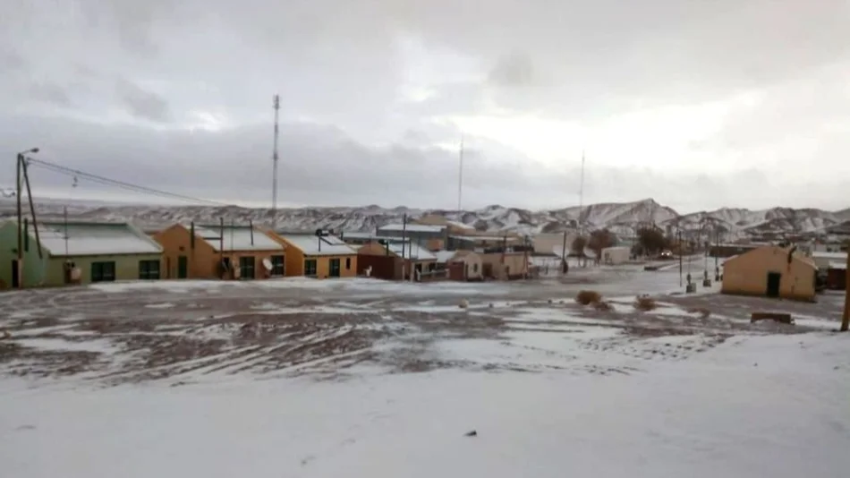 VIDEO Y FOTOS Llegó la primera nevada del año a la gente de la Puna salteña