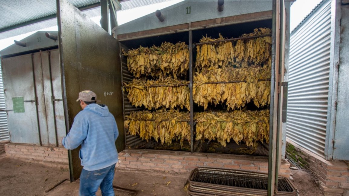 Para evitar "lobbys", el tabaco irá por fuera de la ley de Bases