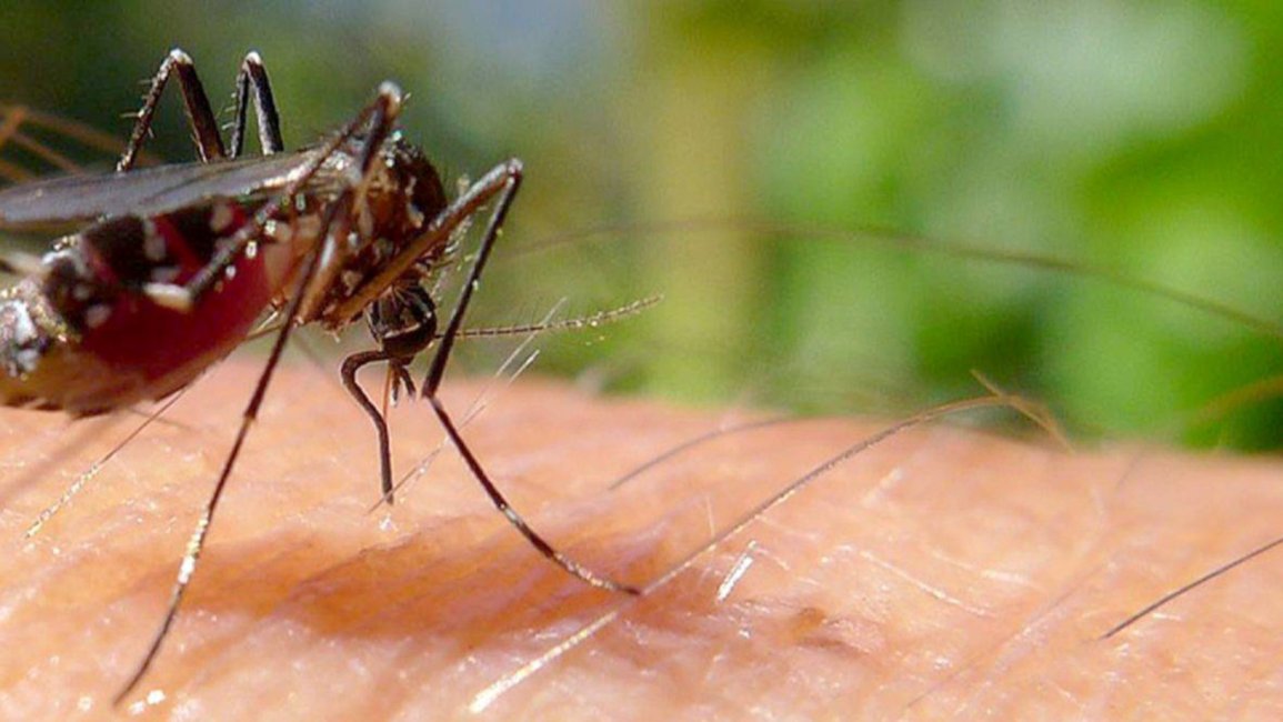 Confirman dos muertes más por dengue y ya son 23 los fallecidos