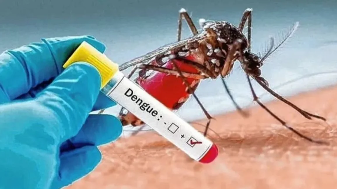 Confirmaron el primer muerto por coinfección de dengue en la Argentina
