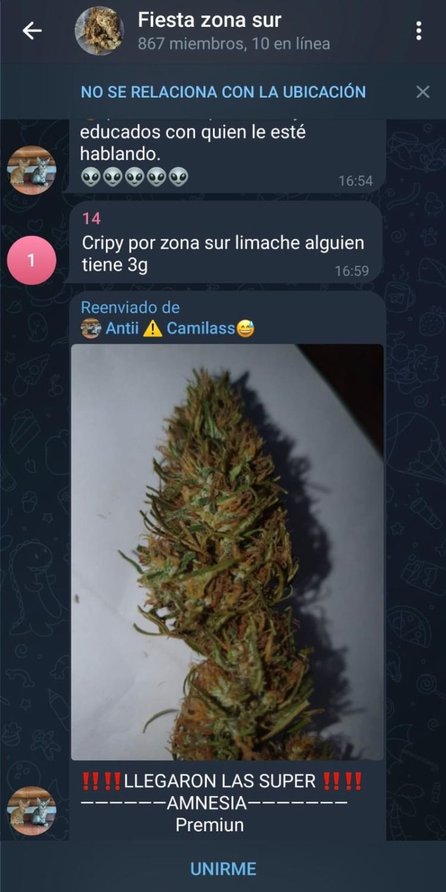 Drogas a domicilio: así venden "krippy", LSD y marihuana por Telegram en Salta