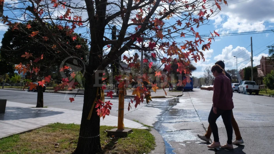 Clima en Salta. Lo que tenés que saber sobre el frente frío que ingresa a la provincia