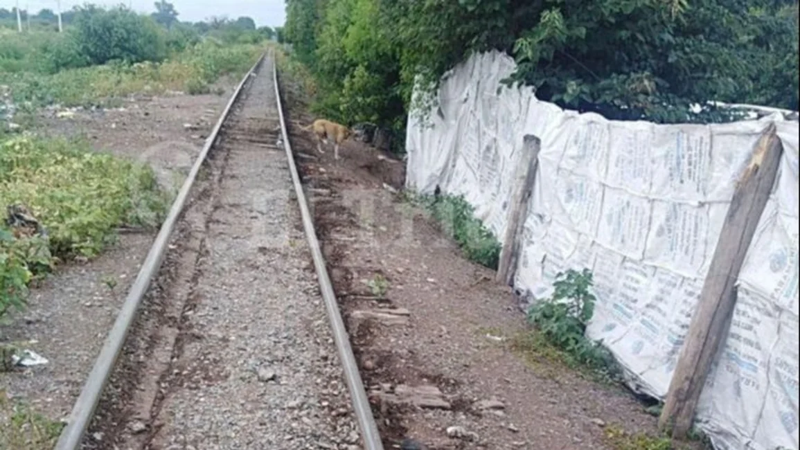 Rosario de la Frontera: imputan a un comisario y a un empleado municipal por el robo de rieles del ferrocarril Belgrano Cargas