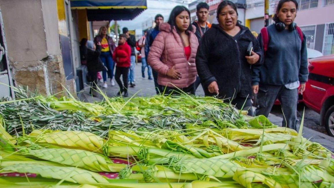 Domingo de Ramos en Salta, con el "Jubileo de la Esperanza"