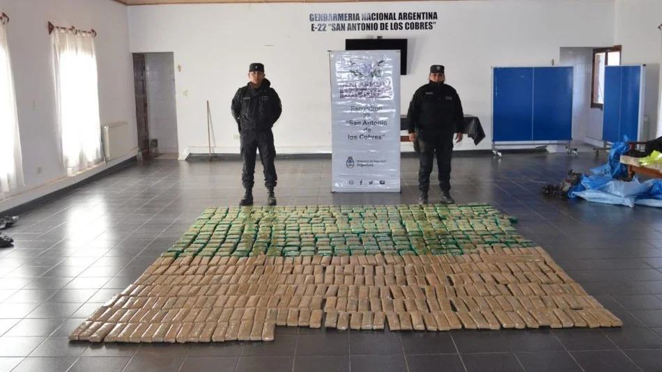 Secuestran más de 150 kilos de hojas de coca en Campo Quijano