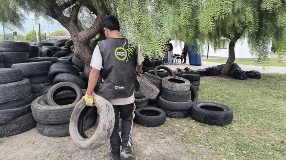 Neumatón en zona oeste: Reciclan cubiertas y plantan conciencia ambiental en Salta