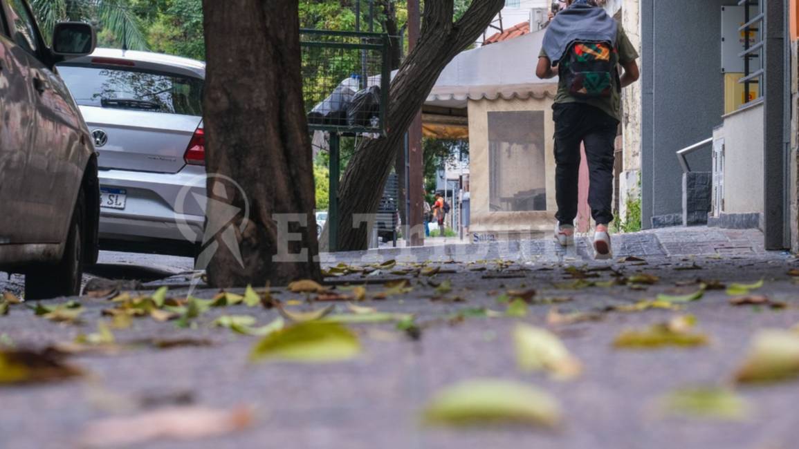 Clima en Salta.  Buen tiempo hasta el sábado: qué dice el pronóstico para el domingo