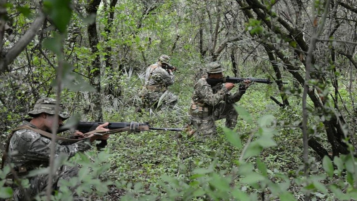 El Ejército actuará en "flagrancia" y en zonas inhóspitas, aseguró Luis Petri 