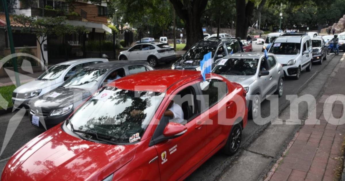 Movilización  por  discapacidad: Salta se adhirió al paro nacional y marchó en defensa de los cambios a la Ley