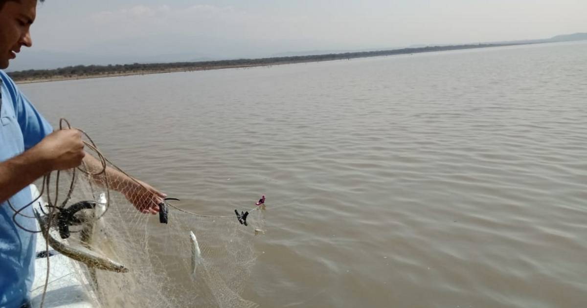 Los pescadores piden la intervención de Prefectura en el dique Cabra Corral
