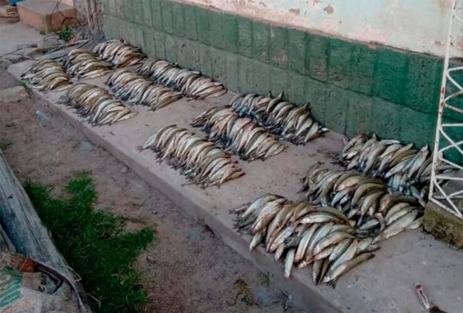 Los pescadores piden la intervención de Prefectura en el dique Cabra Corral