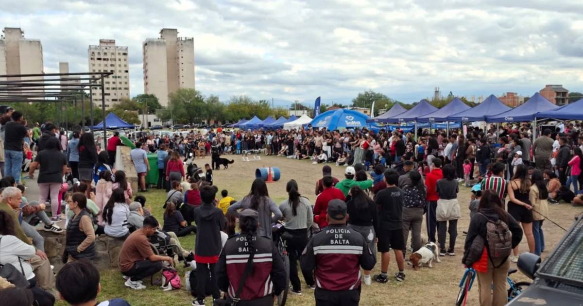 Campo de la Cruz: siete perros callejeros encontraron una segunda oportunidad