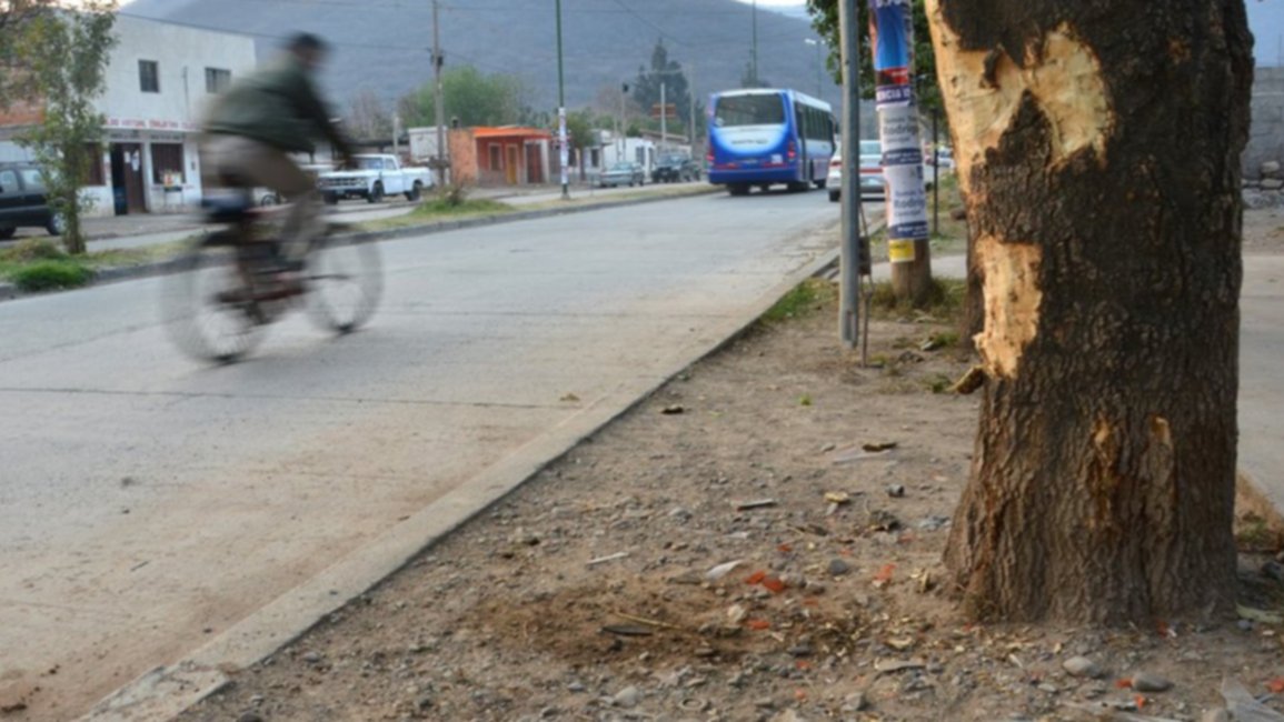 Reclaman reductores de velocidad para la zona este