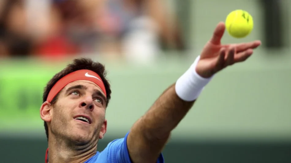 Del Potro y un triunfo que ilusiona en su debut en el Master 1000 de Madrid