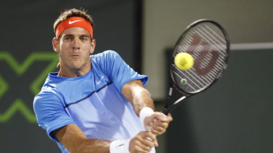 Del Potro no jugará el Masters de Roma para llegar bien a Roland Garros