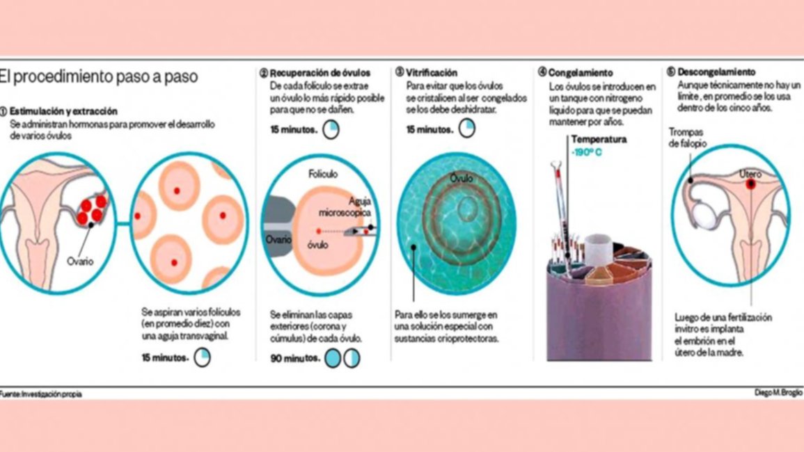 Por mes, al menos una salteña con cáncer congela sus óvulos