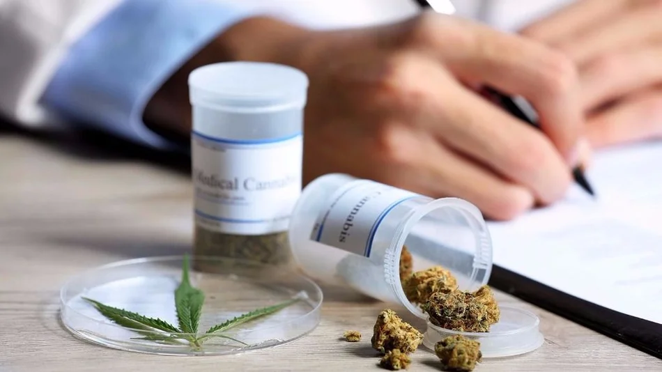 Uruguay abre mañana el registro para compradores de marihuana en farmacias