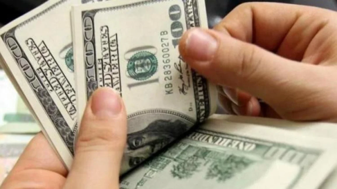 Cae la cotización del dólar tras una fuerte jugada del Gobierno