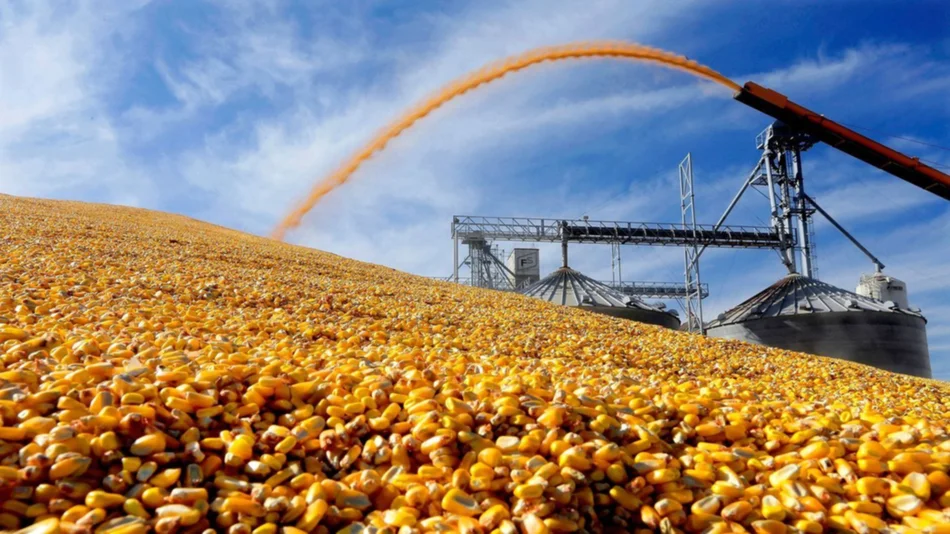 La radiografía de los biocombustibles